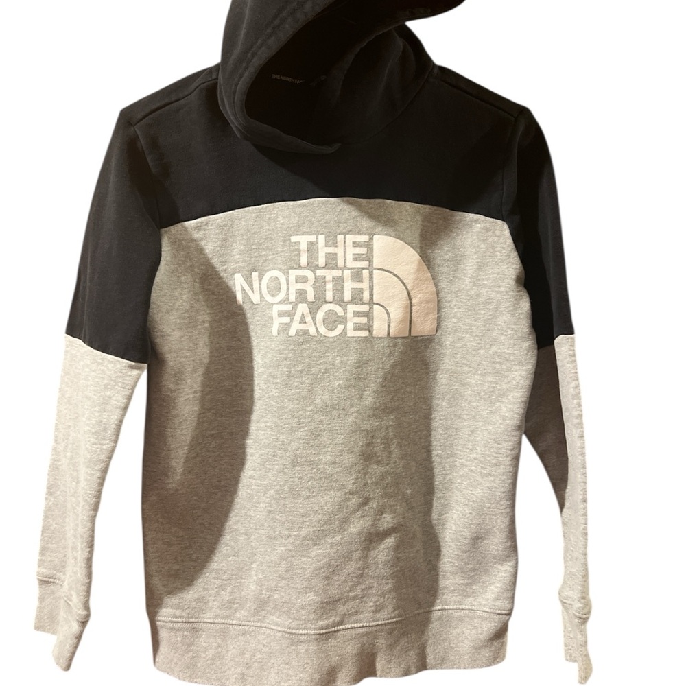 The North Face Men's Two-Tone Hoodie